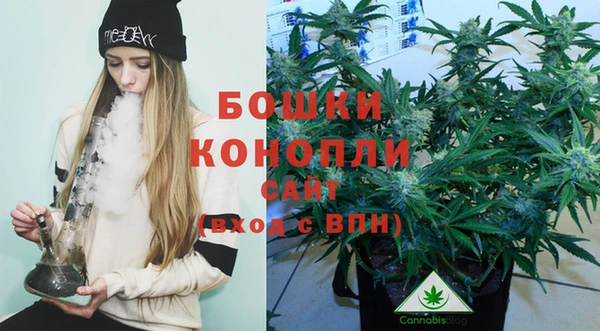 спиды Михайловка