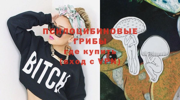 мяу мяу мука Абаза