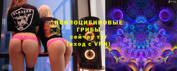 мяу мяу мука Абаза