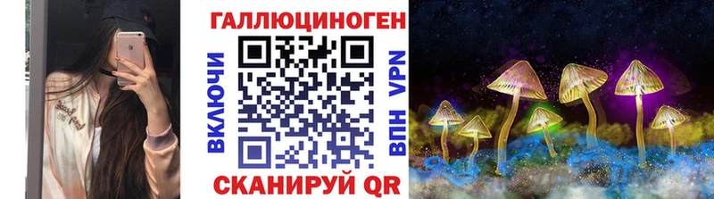 Галлюциногенные грибы GOLDEN TEACHER  Шлиссельбург 